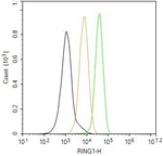 RING1 Antibody in Flow Cytometry (Flow)