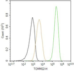 TOMM22 Antibody in Flow Cytometry (Flow)