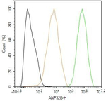 ANP32B Antibody in Flow Cytometry (Flow)