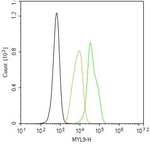 MYL9 Antibody in Flow Cytometry (Flow)