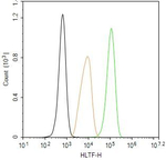 HLTF Antibody in Flow Cytometry (Flow)