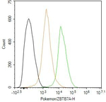 Pokemon Antibody in Flow Cytometry (Flow)