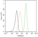 PACT Antibody in Flow Cytometry (Flow)