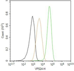 CHMP3 Antibody in Flow Cytometry (Flow)