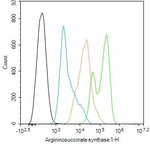 ASS1 Antibody in Flow Cytometry (Flow)