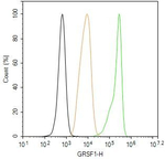 GRSF1 Antibody in Flow Cytometry (Flow)