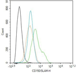 CD150 Recombinant Rabbit Monoclonal Antibody (6D11)