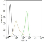 RCC1 Antibody in Flow Cytometry (Flow)