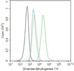 GluD1 Antibody in Flow Cytometry (Flow)