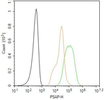 PSAP Antibody in Flow Cytometry (Flow)