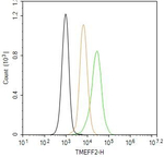 TMEFF2 Antibody in Flow Cytometry (Flow)