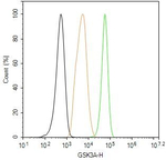 GSK3 alpha Antibody in Flow Cytometry (Flow)