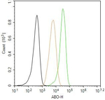 ABO Antibody in Flow Cytometry (Flow)