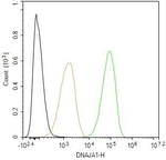 HDJ2 Antibody in Flow Cytometry (Flow)