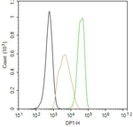DP1 Antibody in Flow Cytometry (Flow)