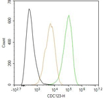 CDC123 Antibody in Flow Cytometry (Flow)