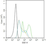 ELF3 Antibody in Flow Cytometry (Flow)