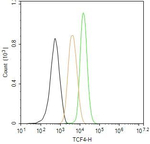 TCF4 Antibody in Flow Cytometry (Flow)
