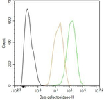 beta Galactosidase Antibody in Flow Cytometry (Flow)