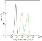 Formyl-Histone H2B (Lys109) Antibody in Flow Cytometry (Flow)