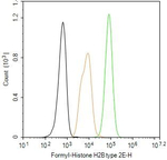 Formyl-Histone H2B (Lys121) Antibody in Flow Cytometry (Flow)