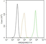 HMGN2 Antibody in Flow Cytometry (Flow)