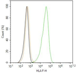 HLA-F Antibody in Flow Cytometry (Flow)