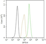 SPT5 Antibody in Flow Cytometry (Flow)