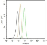 PDI Antibody in Flow Cytometry (Flow)