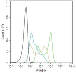 PDI Antibody in Flow Cytometry (Flow)