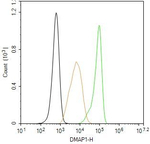 DMAP1 Antibody in Flow Cytometry (Flow)