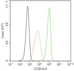 CC2D1A Antibody in Flow Cytometry (Flow)