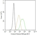 H2BK12cr Antibody in Flow Cytometry (Flow)