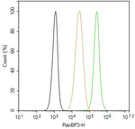 RANBP3 Antibody in Flow Cytometry (Flow)