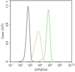 GTF2F2 Antibody in Flow Cytometry (Flow)