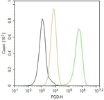 PGD Antibody in Flow Cytometry (Flow)