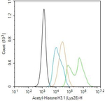 H3K28ac Antibody in Flow Cytometry (Flow)