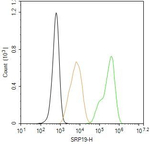 SRP19 Antibody in Flow Cytometry (Flow)