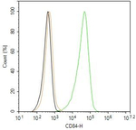 CD84 Antibody in Flow Cytometry (Flow)