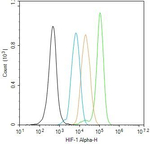 HIF1A Antibody in Flow Cytometry (Flow)