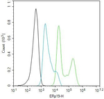 TXNDC12 Antibody in Flow Cytometry (Flow)