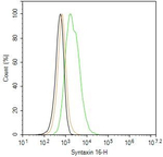 STX16 Antibody in Flow Cytometry (Flow)