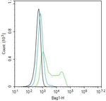 BAG1 Antibody in Flow Cytometry (Flow)