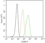 ICAM-2 Antibody in Flow Cytometry (Flow)