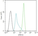 UFM1 Antibody in Flow Cytometry (Flow)