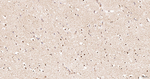 ALDH7A1 Antibody in Immunohistochemistry (Paraffin) (IHC (P))