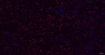 COPS8 Antibody in Immunohistochemistry (Paraffin) (IHC (P))