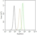 PLSCR3 Antibody in Flow Cytometry (Flow)