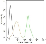OXGR1 Antibody in Flow Cytometry (Flow)