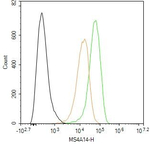 MS4A14 Antibody in Flow Cytometry (Flow)